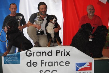 DIXIE et HANOI Grand prix de France d'attelage © elevage du clos de la luette